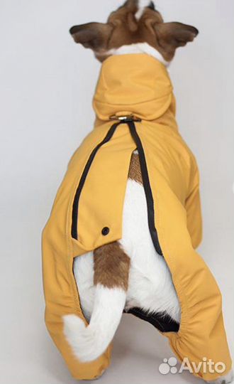 Дождевик Джек рассел сука Poroda store