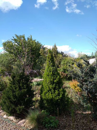 Дача 24 м² на участке 2,8 га