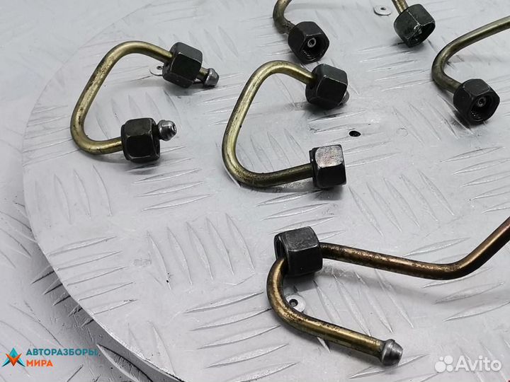 Трубка топливная Renault Scenic 2 2005 8200600509