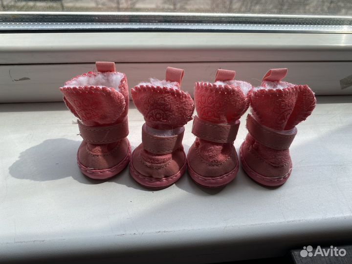 Обувь для маленьких собак