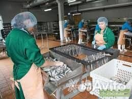 Фасовщица-ка изделий с вахтой