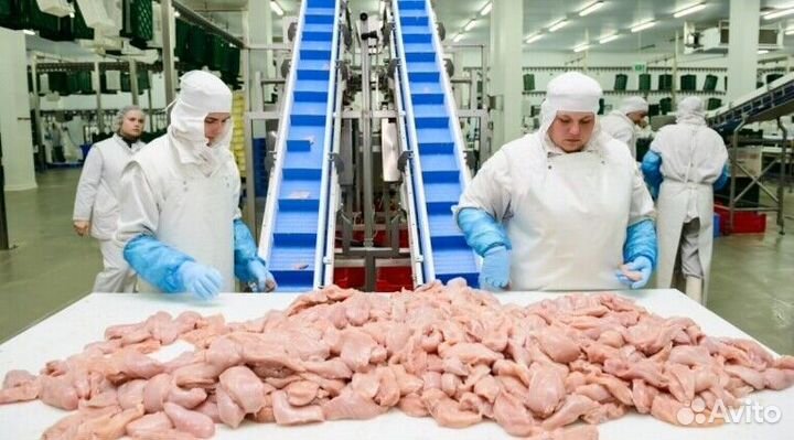 Работа разнорабочим на мясокомбинате(Вахта)