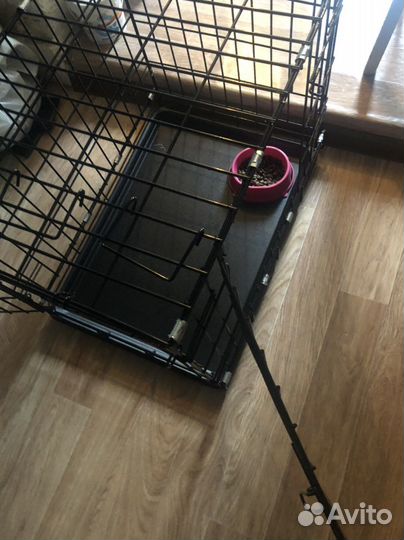 Вольер для животных аренда кошек,собак