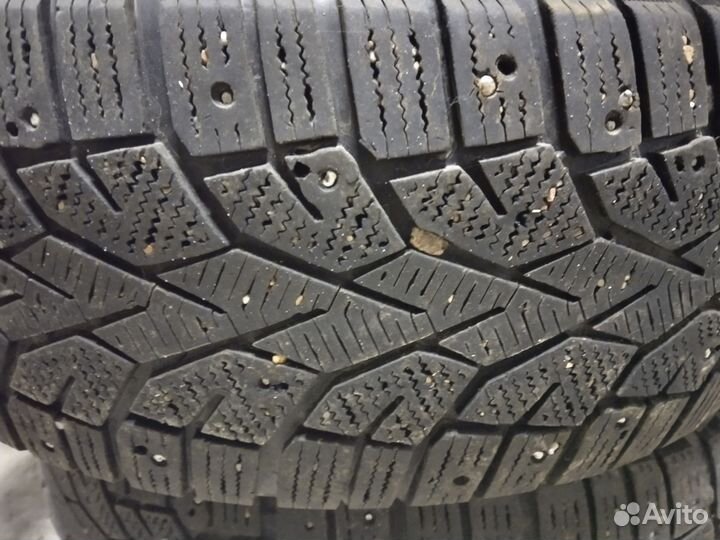 Gislaved NordFrost 100 215/65 R16