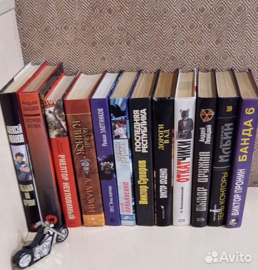 Книги современных писателей