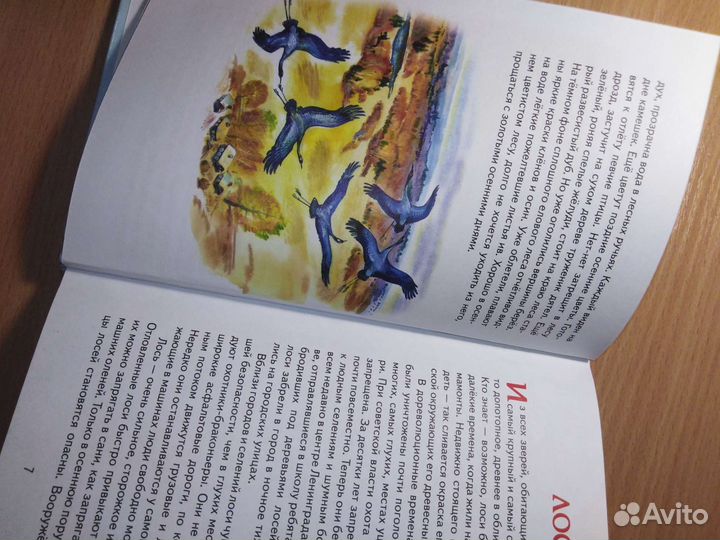 Книга про животных