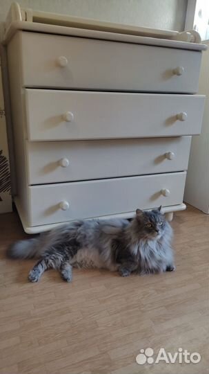 Комод гандылян