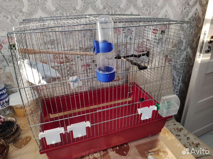 Большая клетка для птиц бу