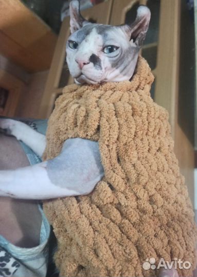 Кофты для кошек и собак