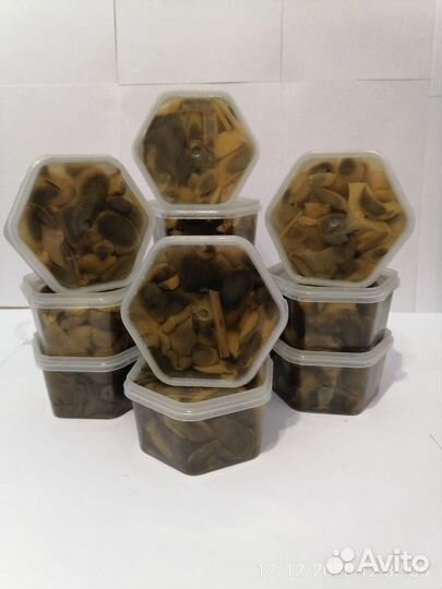 Моховик маринованный