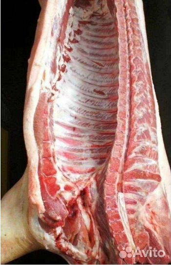 Мясо свинина домашняя