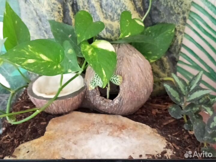 Террариумы exo Terra