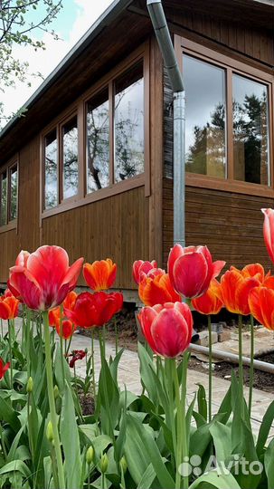 Пластиковые окна rehau