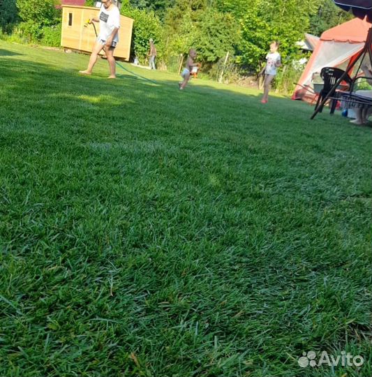 Газон. Рулонный газон