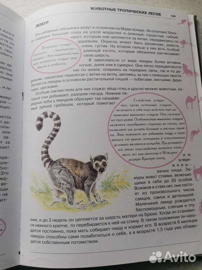 Детская энциклопедия