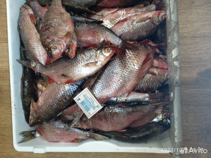 Свежая рыба