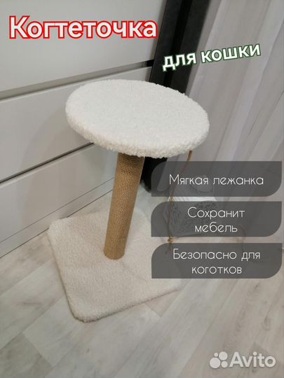 Когтеточка