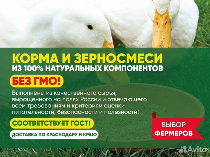 Крупа перловая