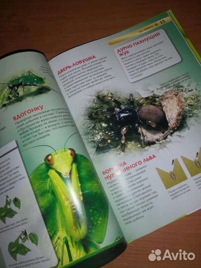 Книга про насекомых