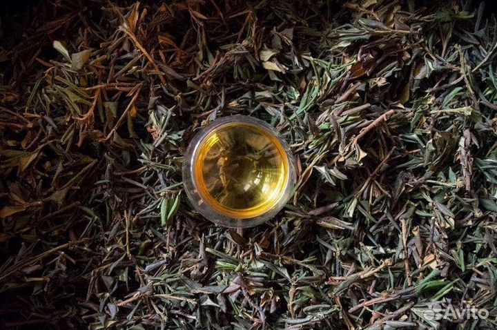 Саган-дайля