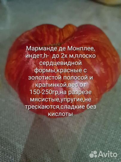Семена коллекционных томатов