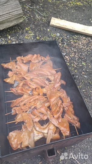 Хребты семги