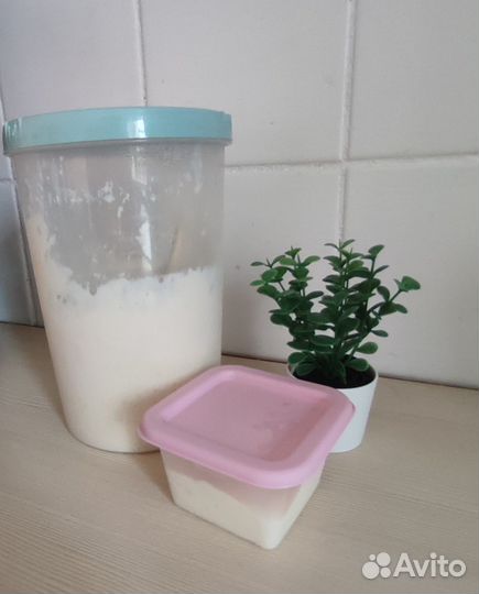 Ржаная закваска для хлеба