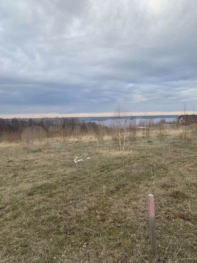 Участок 76,3 сот. (ИЖС)