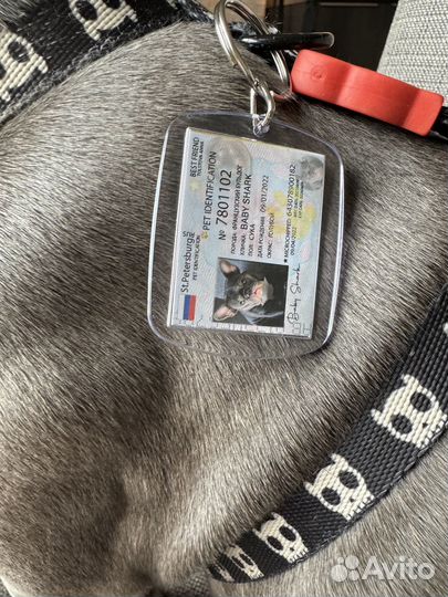 Брелок-адресник для вашего питомца на заказ