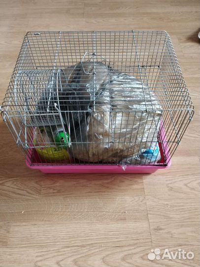 Набор для хомяка