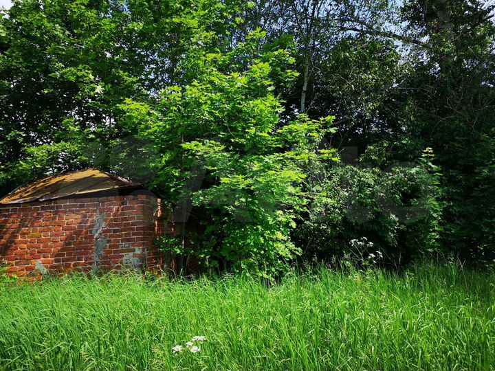 Дом 50 м² на участке 33 сот.