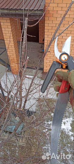 Уход за садом. Профессиональный