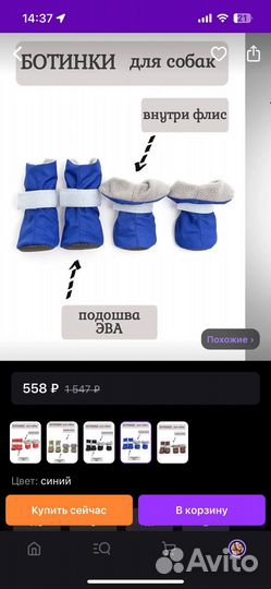 Обувь для собак