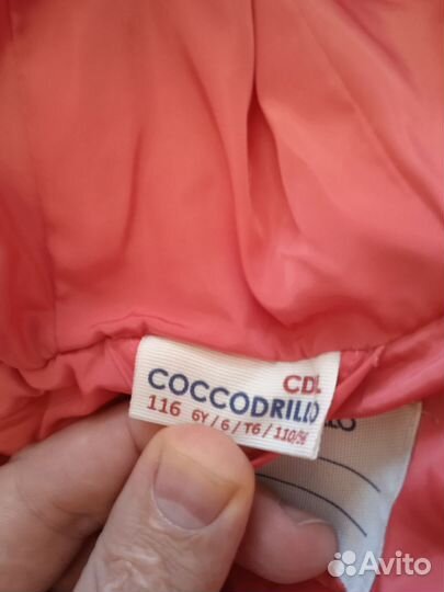 Куртка Coccodrillo для девочки,116 размер