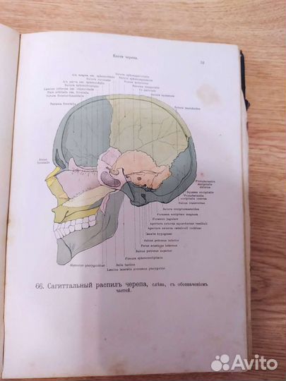 Антикварная медицинская книга