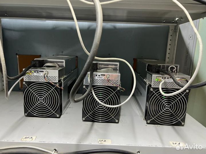 Асики Whatsminer m31s 76 th