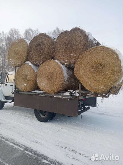 Сено, солома