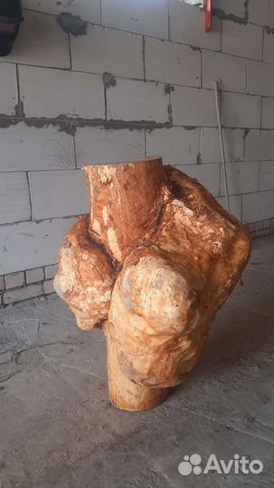 Сувель ольхи