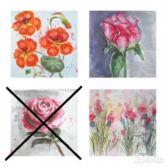 Картины акварель цветы пейзаж кошки птицы этюды