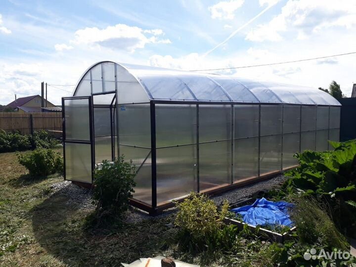 Теплица Павильон