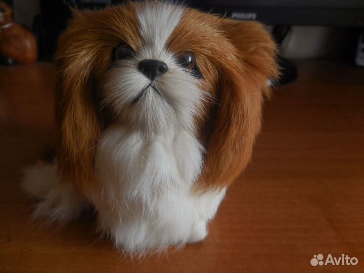 Собачка -кружка.казак курит трубку