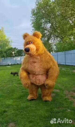 Поздравления
