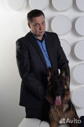 Перевозка животных в Казахстан