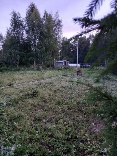 Участок 6 сот. (СНТ, ДНП)