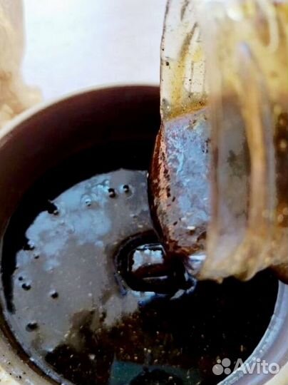 Энергетический мед для интимной жизни мужчин