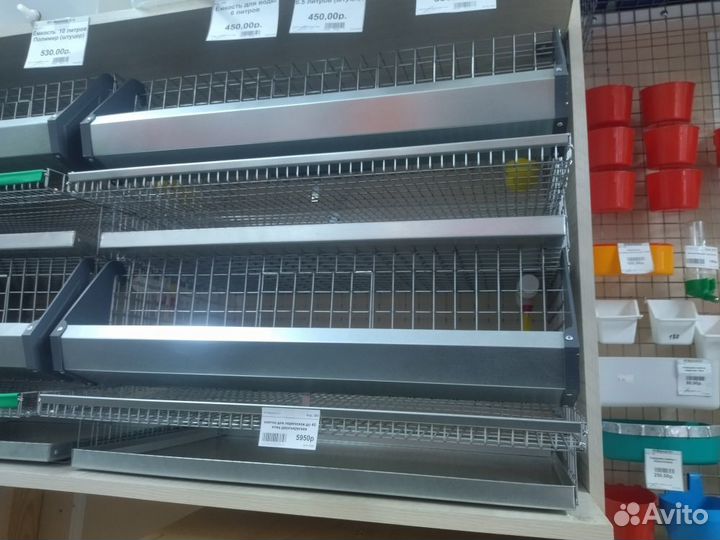 Клетки для перепелoв