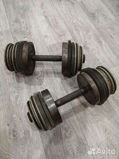 Гантели разборные 22 кг