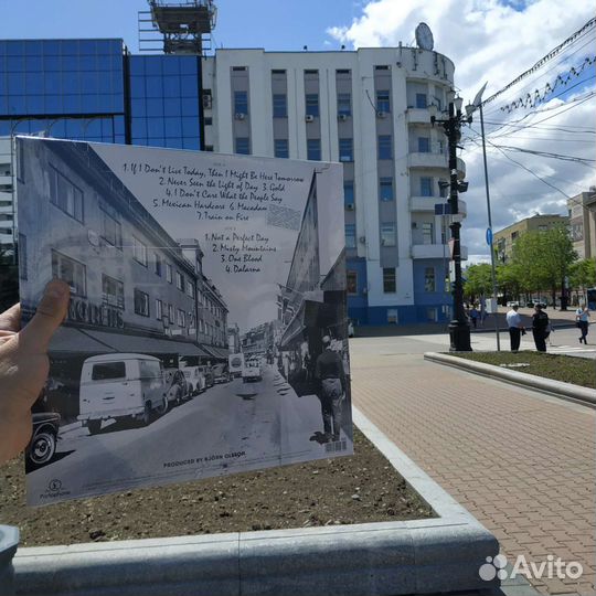 Mando Diao – Never Seen The Light Of Day 2007/2017