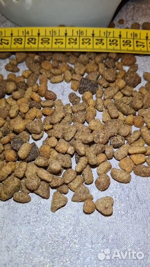 Корм для собак и кошек - опт