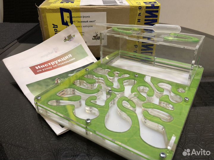 Муравьиная ферма